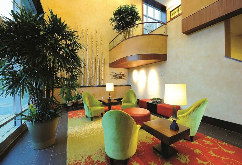 בית מלון כפרי Embassy Suites Houston Downtown