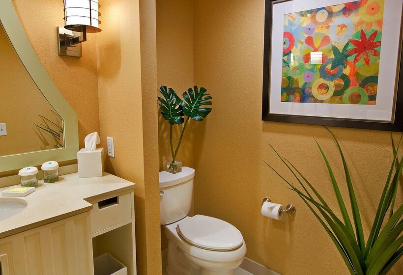 בית מלון כפרי Embassy Suites Houston Downtown