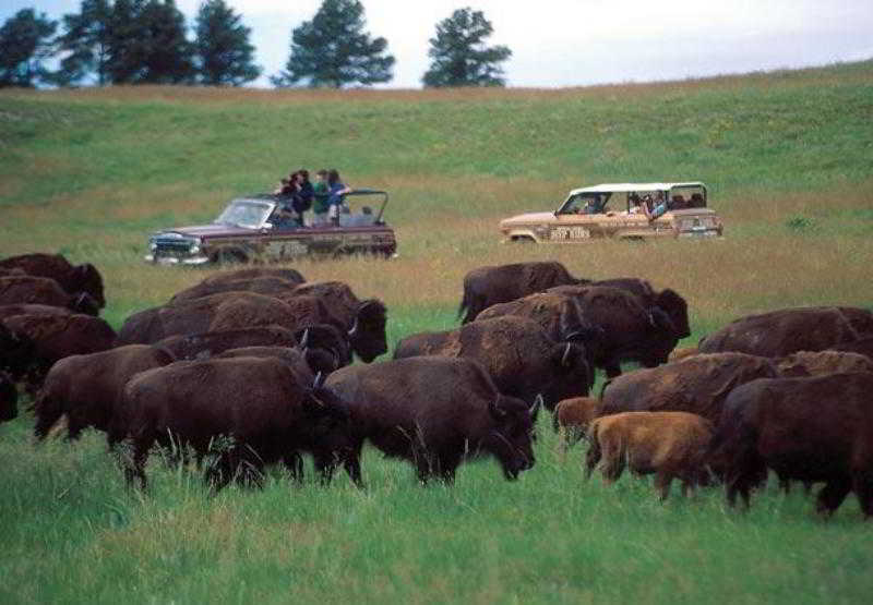 בית מלון כפרי Fairfield Inn & Suites Rapid City