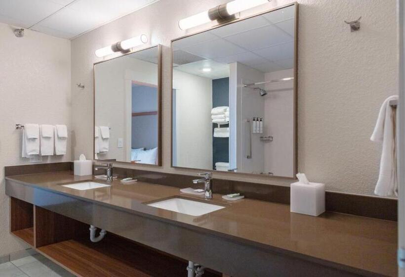 בית מלון כפרי Fairfield Inn & Suites Rapid City