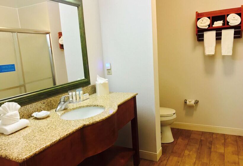 فندق Hampton Inn Garden City