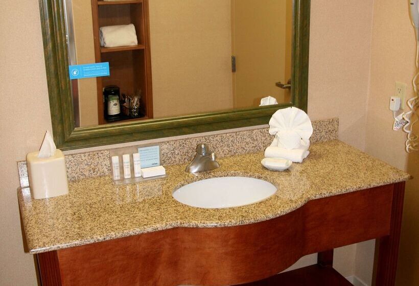 فندق Hampton Inn Garden City