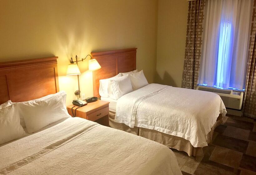 فندق Hampton Inn Garden City