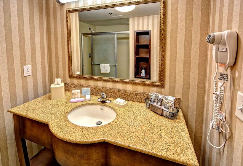 فندق Hampton Inn & Suites Cashierssapphire Valley