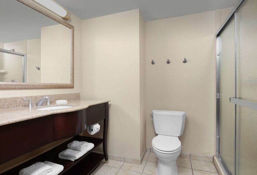 Отель Hampton Inn Syracuse Clay