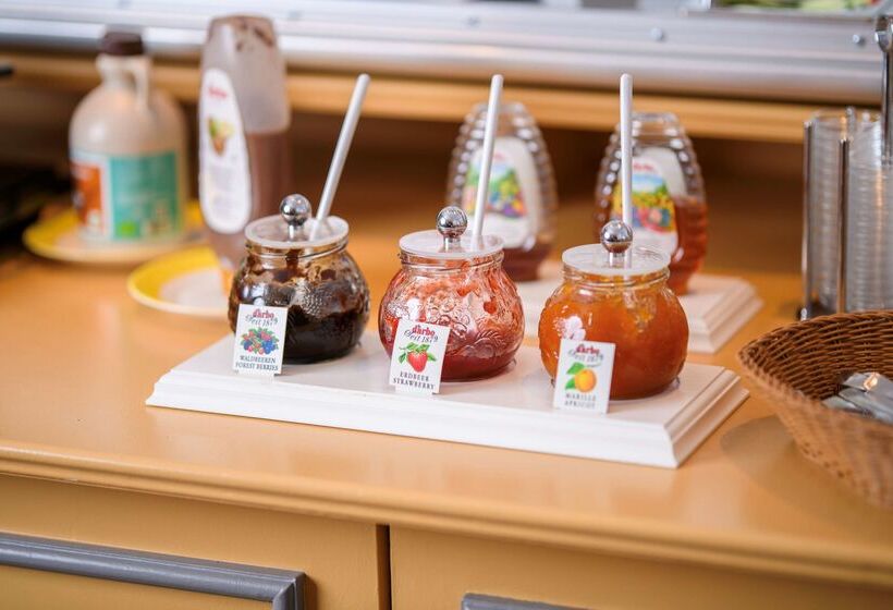 فندق Hannover Airport By Premiere Classe