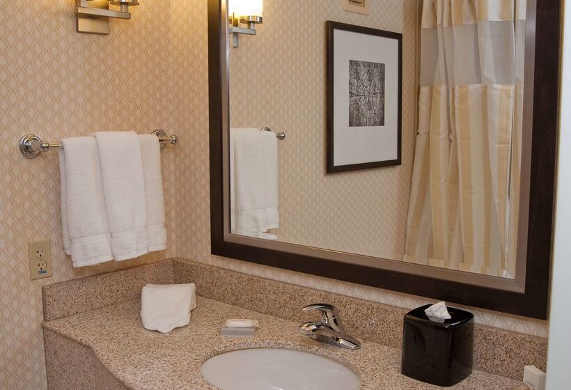 هتل Hilton Garden Inn St. Louis Airport