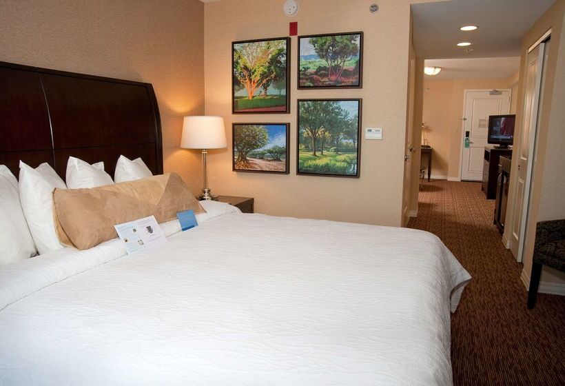 هتل Hilton Garden Inn St. Louis Airport