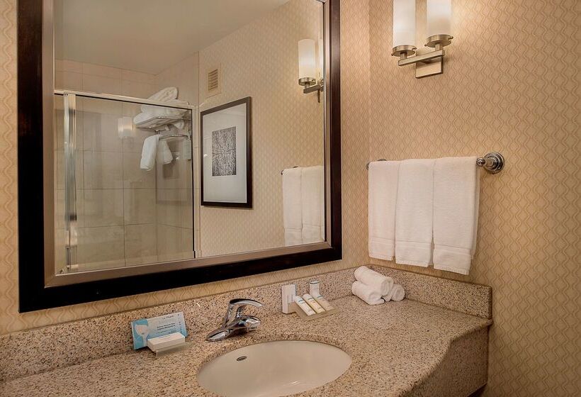 هتل Hilton Garden Inn St. Louis Airport