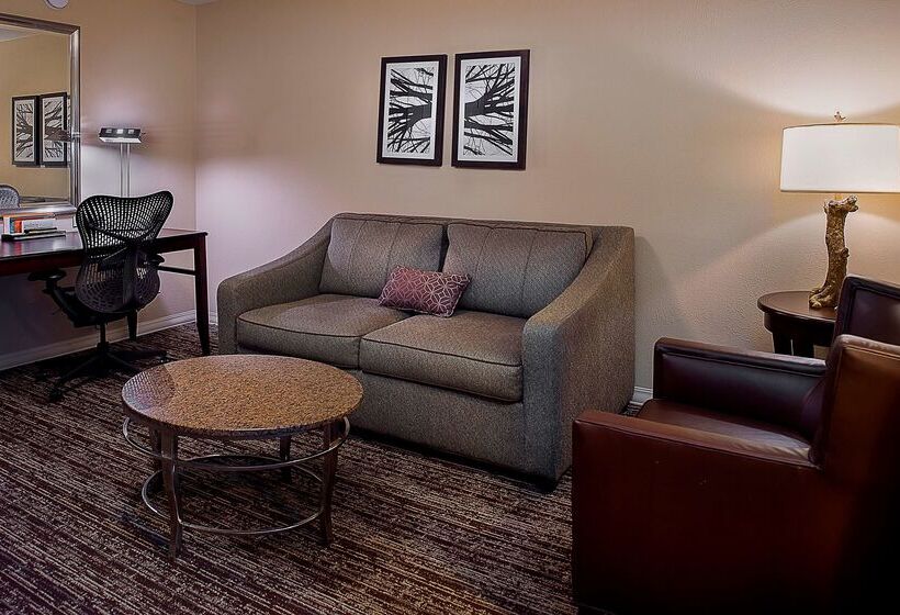 فندق Hilton Garden Inn St. Louis Airport
