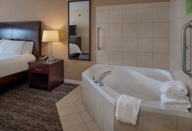 فندق Hilton Garden Inn St. Louis Airport