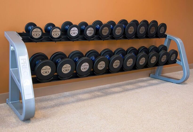 فندق Hilton Garden Inn St. Louis Airport