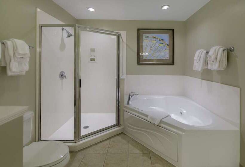 هتل Holiday Inn Club Vacations South Beach Resort, An Ihg