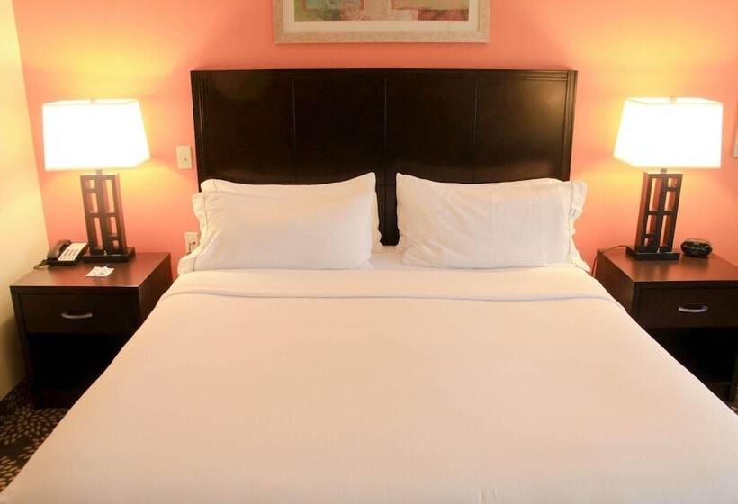 Holiday Inn Express Hotel & Suites Grand Island By Ihg