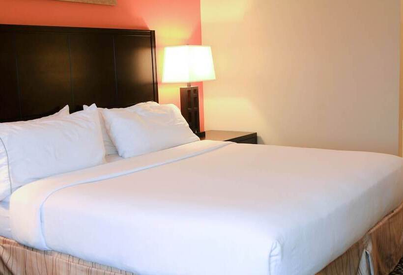 Holiday Inn Express Hotel & Suites Grand Island By Ihg