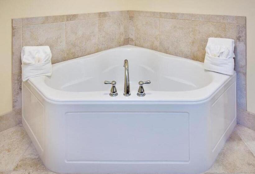 Holiday Inn Express Hotel & Suites Grand Island By Ihg