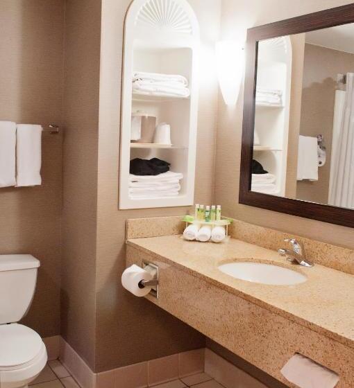 Holiday Inn Express Hotel & Suites Pittsburgh South Side, An Ihg