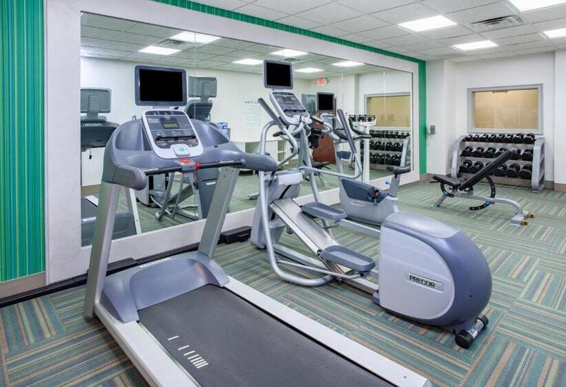 ホテル Holiday Inn Express & Suites Texarkana, An Ihg