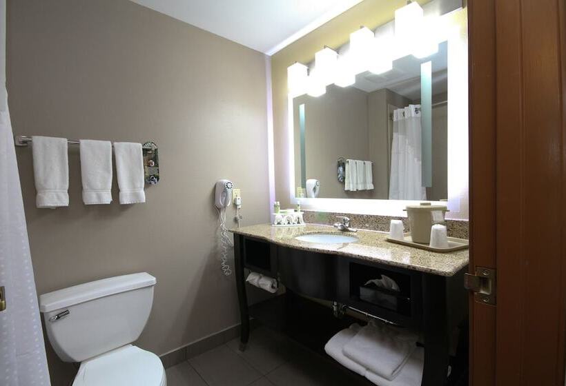 ホテル Holiday Inn Express Marshall By Ihg