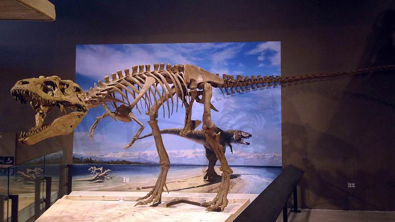 酒店 Holiday Inn Express Airport East, An Ihg