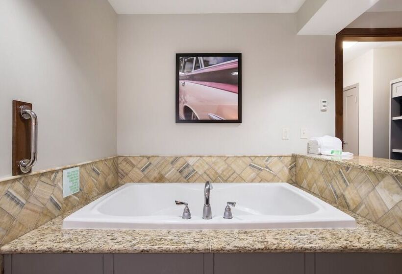 בית מלון כפרי Holiday Inn Jackson Nw   Airport Road, An Ihg