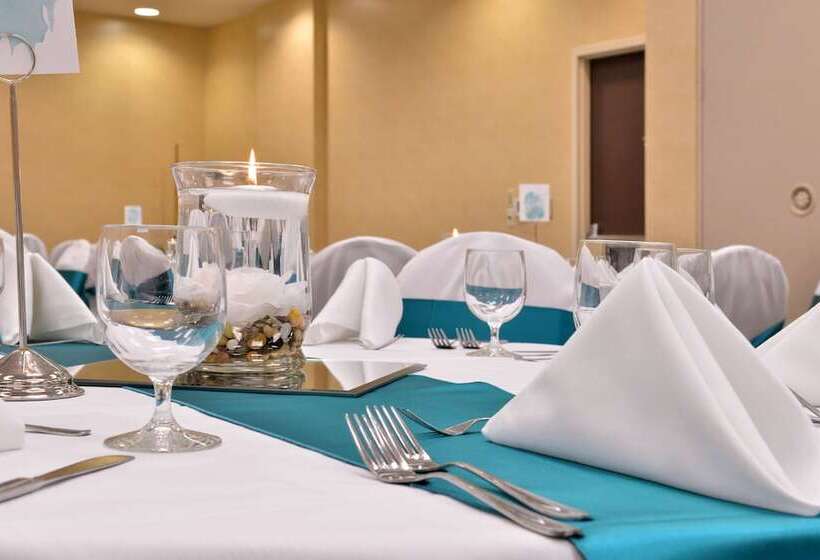 酒店 Holiday Inn Madison At The American Center, An Ihg