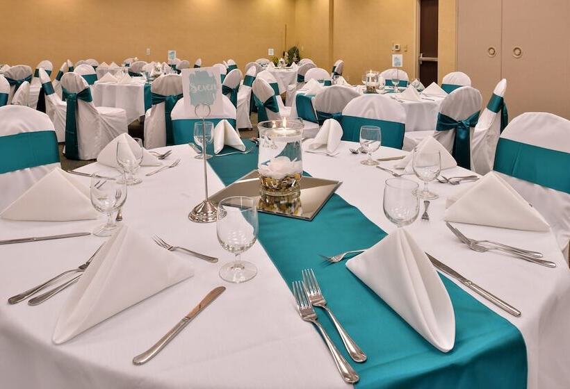 酒店 Holiday Inn Madison At The American Center, An Ihg