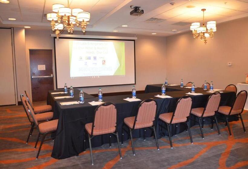 هتل Holiday Inn Meridian East I 59 / I 20