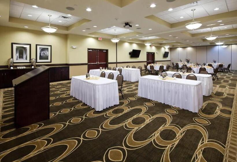 酒店 Holiday Inn Mobile Airport, An Ihg