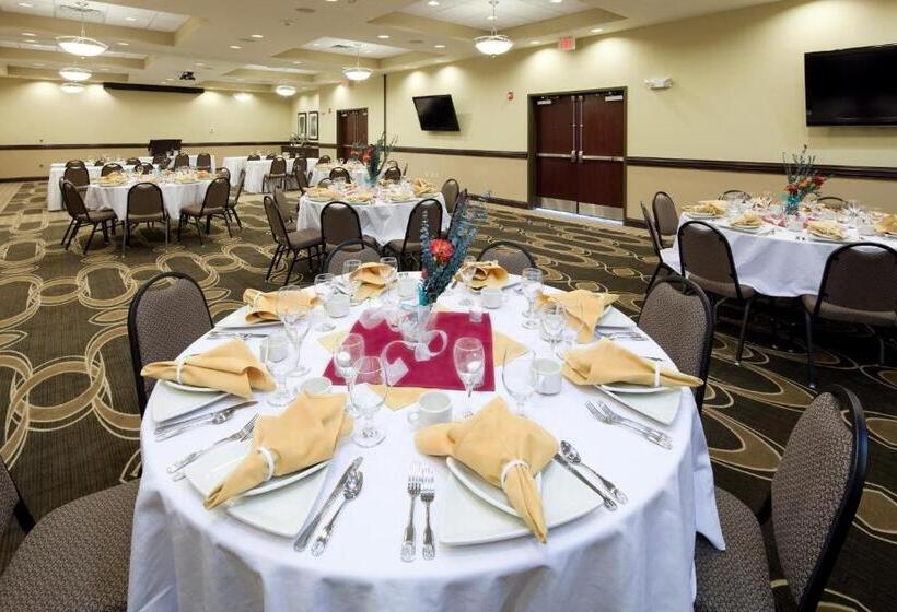 酒店 Holiday Inn Mobile Airport, An Ihg