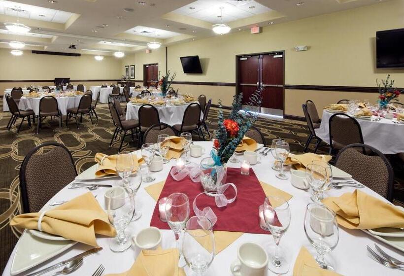 酒店 Holiday Inn Mobile Airport, An Ihg