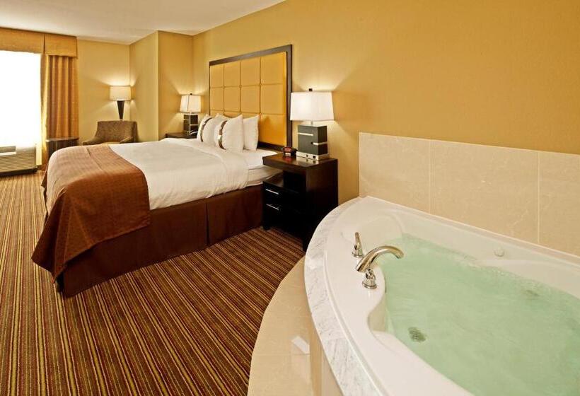 酒店 Holiday Inn Mobile Airport, An Ihg