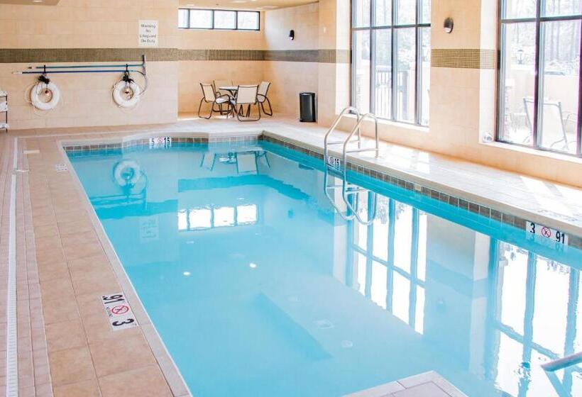 酒店 Holiday Inn Mobile Airport, An Ihg