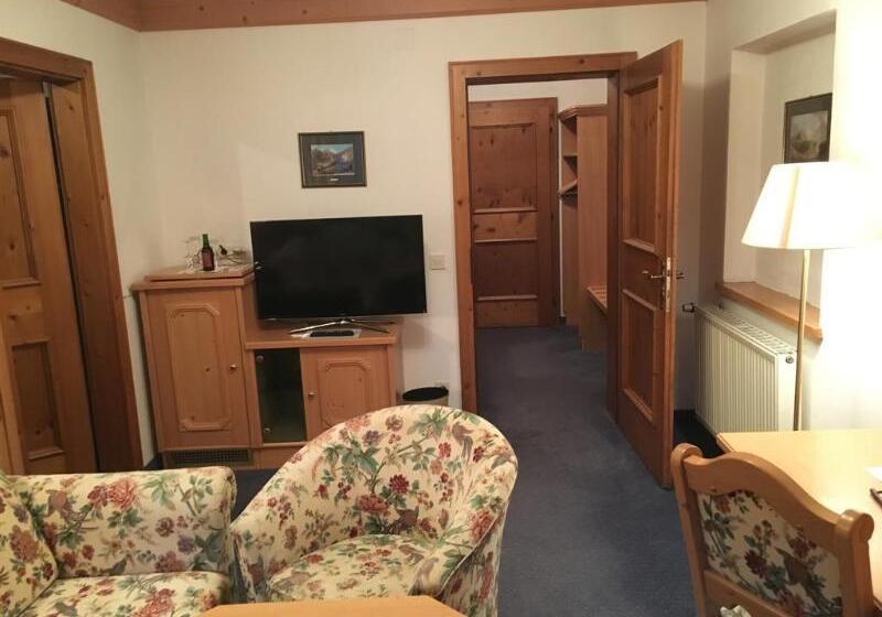 فندق Karl Schranz