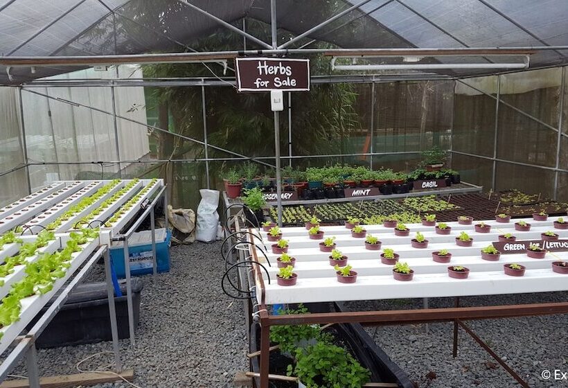 בית מלון כפרי Kimberly Tagaytay