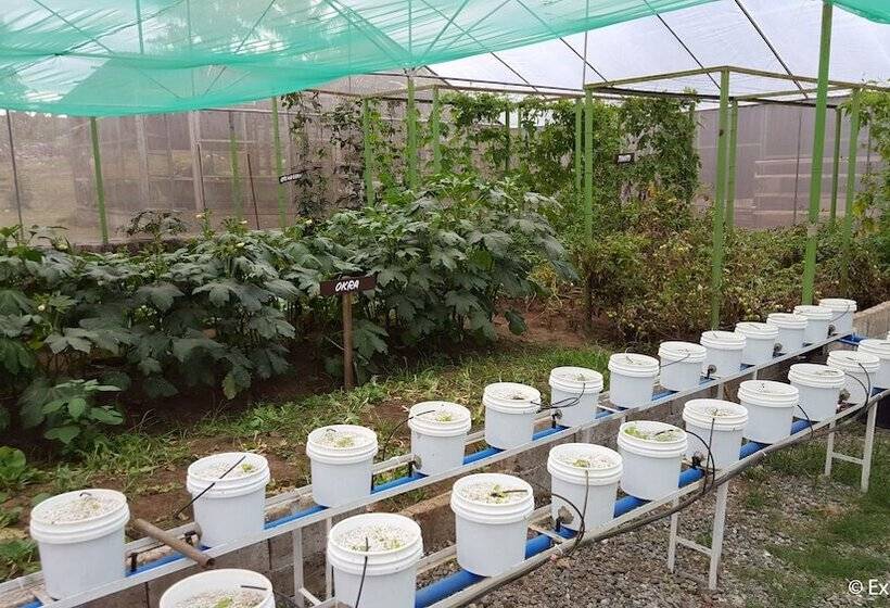 בית מלון כפרי Kimberly Tagaytay