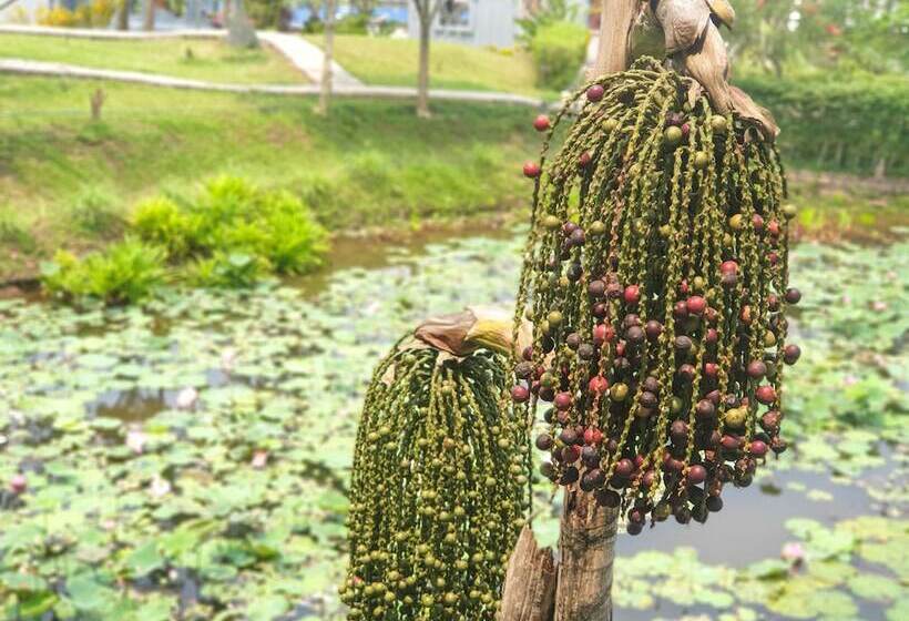 בית מלון כפרי Le Palais Juliana