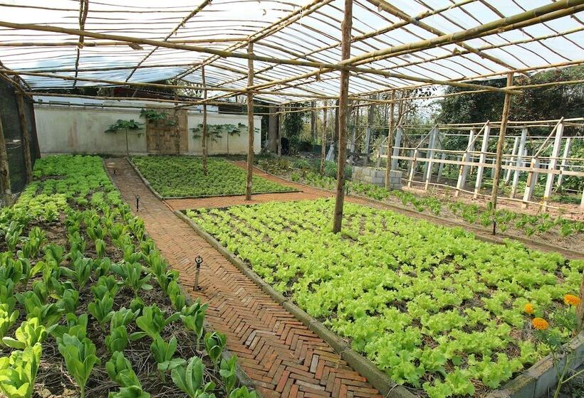 בית מלון כפרי Le Palais Juliana