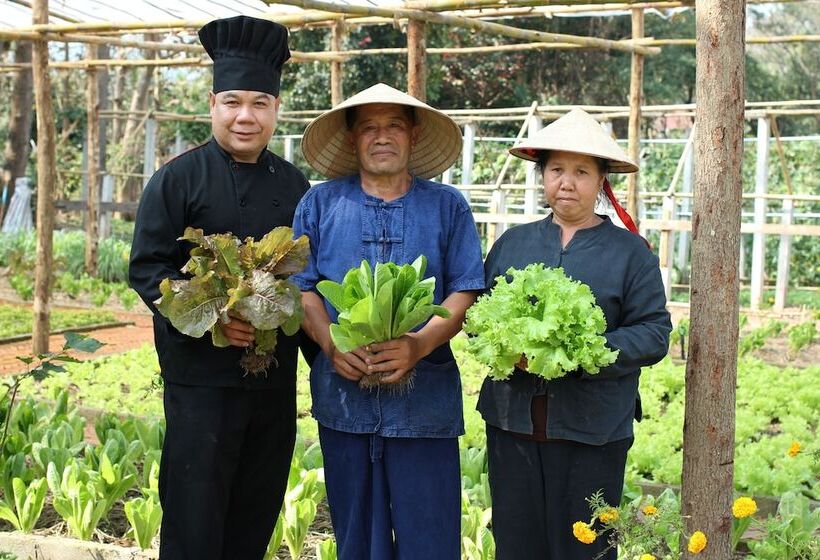 בית מלון כפרי Le Palais Juliana