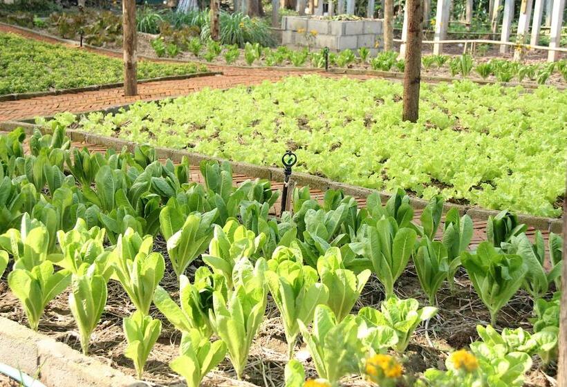 בית מלון כפרי Le Palais Juliana