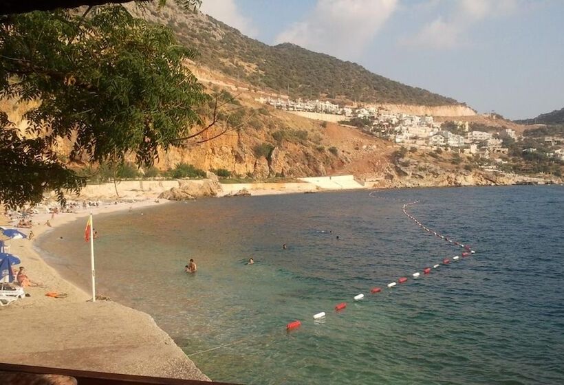 Отель Magic Tulip Beach