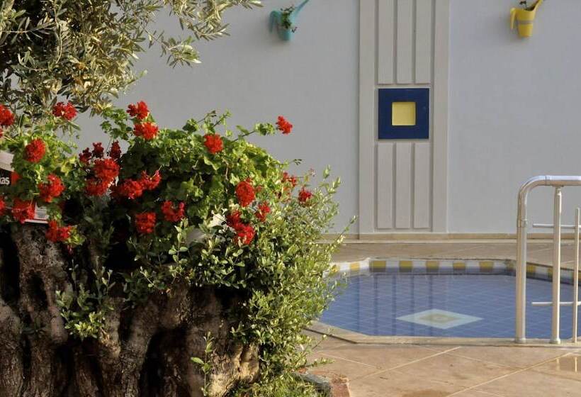 Отель Magic Tulip Beach