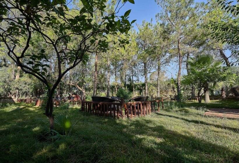 Отель Maya Golf Side All Inclusive