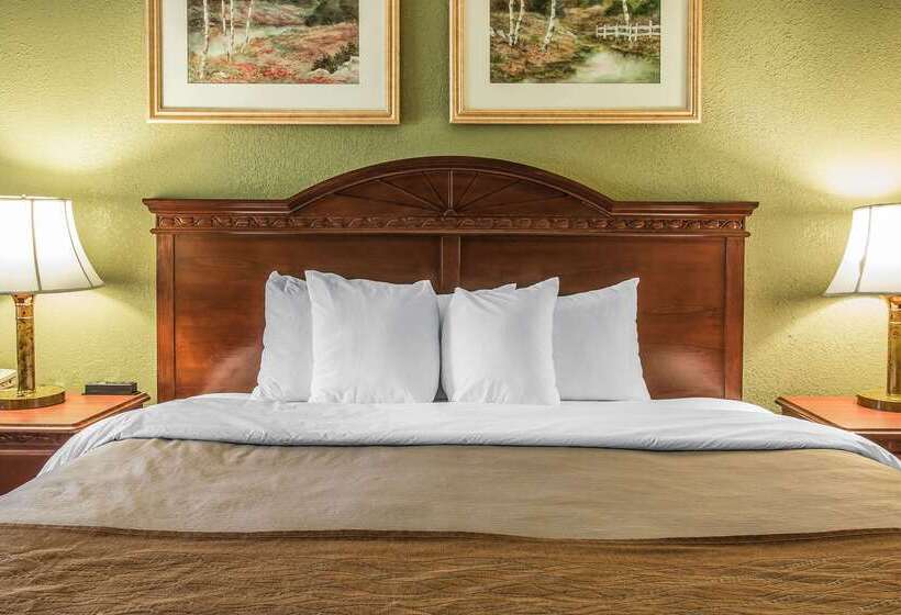 ホテル Quality Inn & Suites Ann Arbor Hwy 23