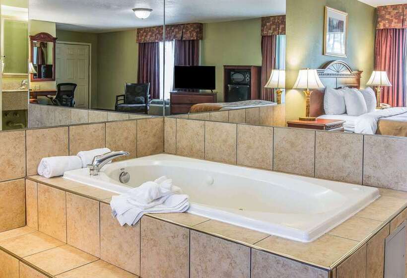 ホテル Quality Inn & Suites Ann Arbor Hwy 23