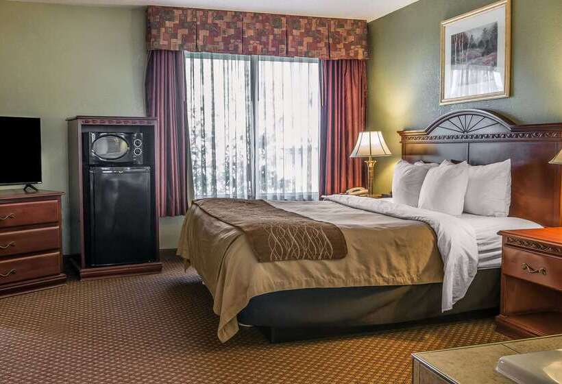 هتل Quality Inn & Suites Ann Arbor Hwy 23