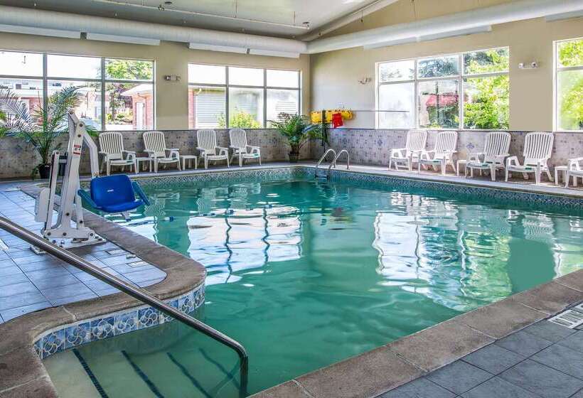 ホテル Quality Inn & Suites Ann Arbor Hwy 23