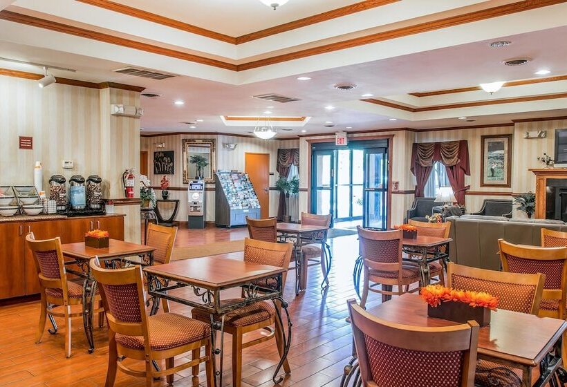 ホテル Quality Inn & Suites Ann Arbor Hwy 23