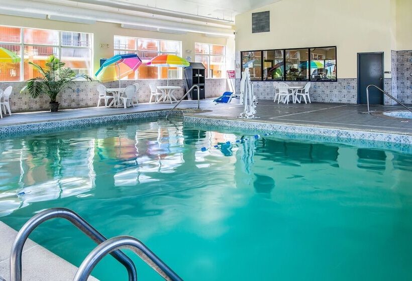 ホテル Quality Inn & Suites Ann Arbor Hwy 23