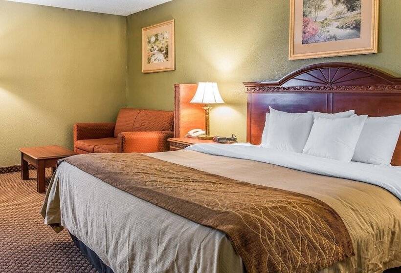 ホテル Quality Inn & Suites Ann Arbor Hwy 23